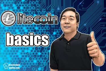 What is Litecoin cryptocurrency? | Beginner's Guide