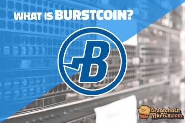 What is BurstCoin? | Beginner’s Guide