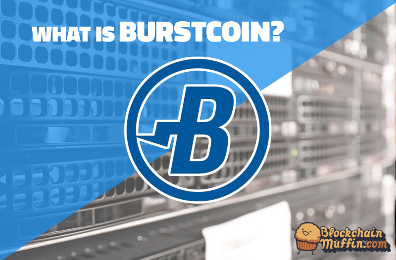 What is BurstCoin? | Beginner’s Guide