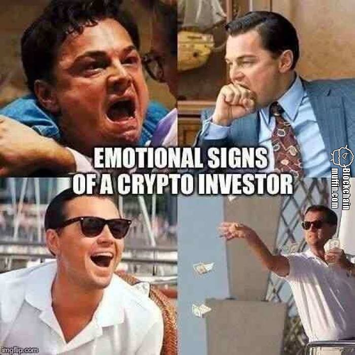 Emotional signs of Crypto Investors