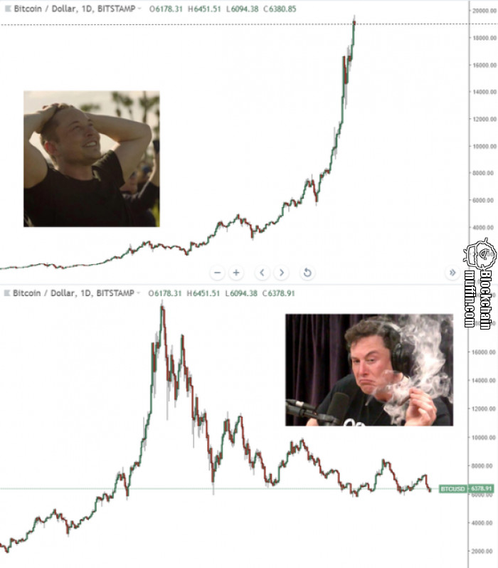 Musk knows what he is doing ;P