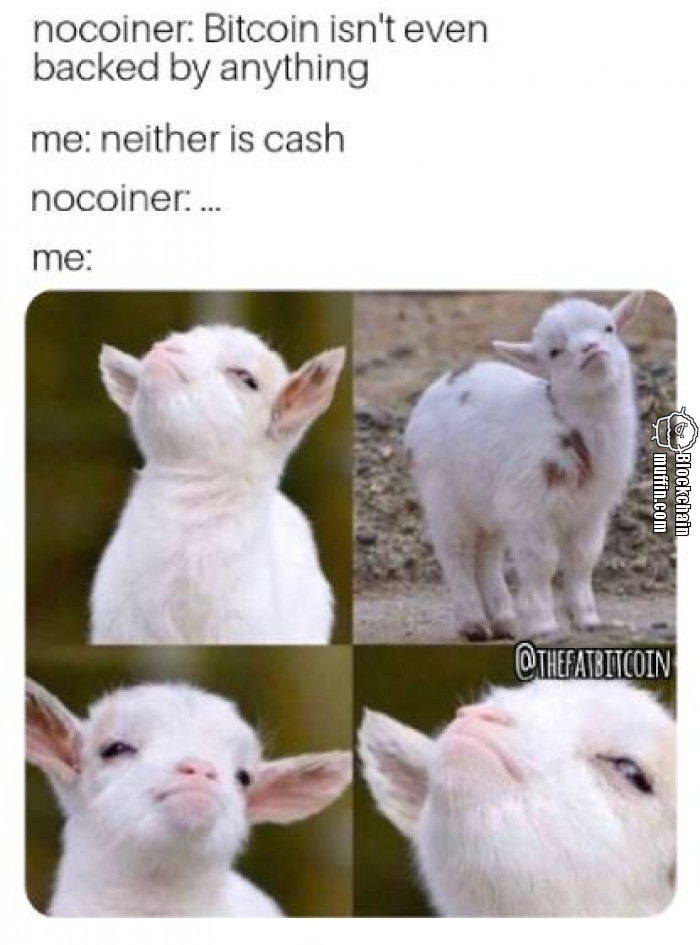 Bitcoin isn't backed by anything... as well as Fiat Money