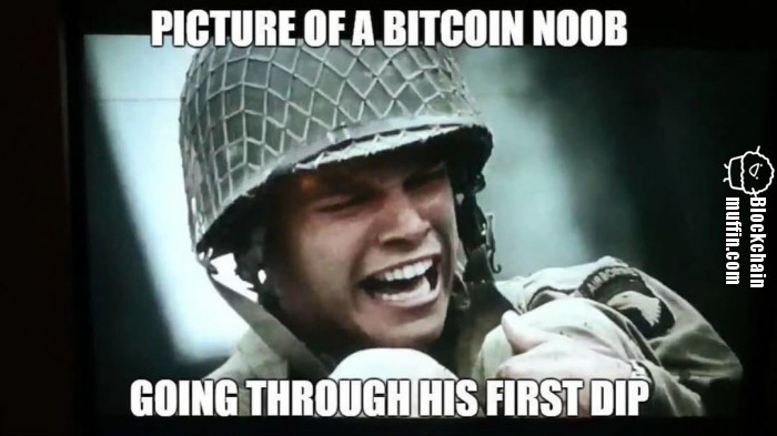Bitcoin Noob and his first Dip