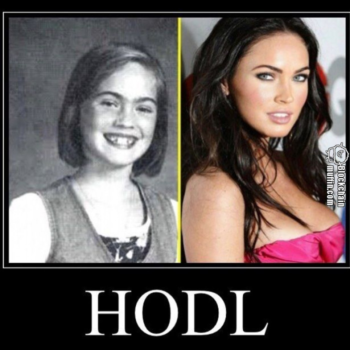 Just... just HODL