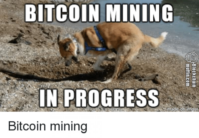 Bitcoin mining in progress