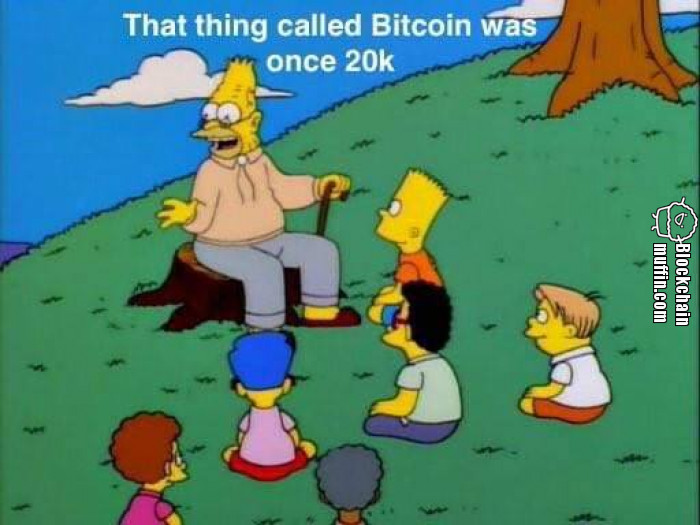 That thing called Bitcoin was once 20k $