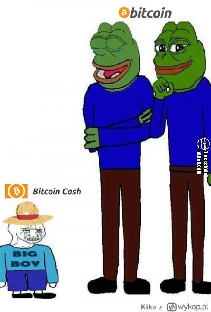 Bitcoin vs Bitcoin Cash xD
