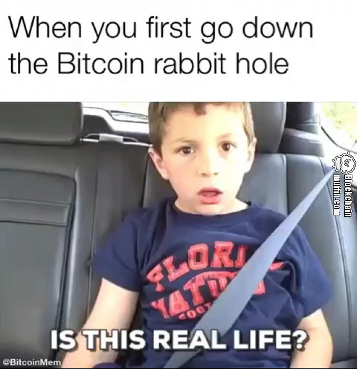 When you first go down the Bitcoin rabbit hole...