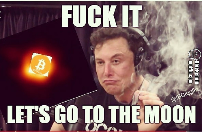 Fuck it. Let's go to the MOON