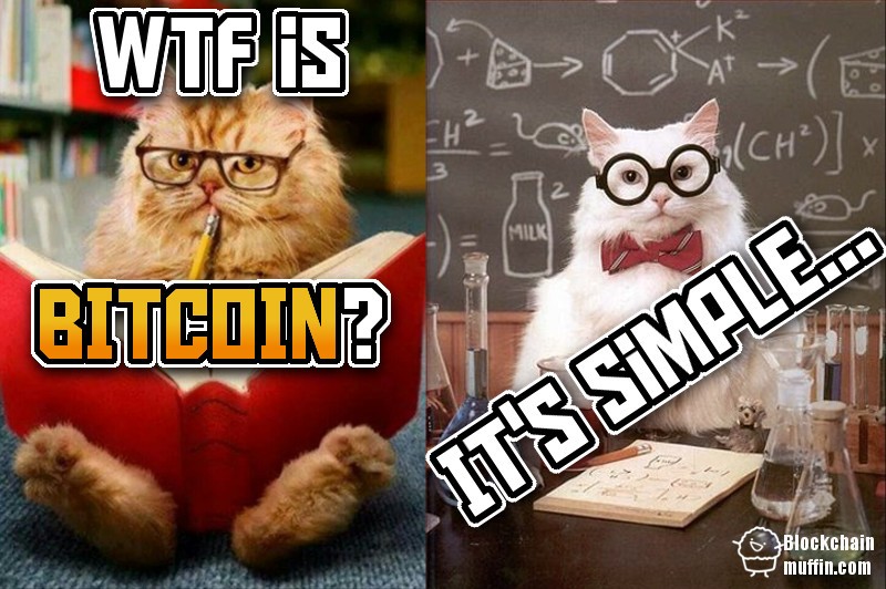 What The F#ck is Bitcoin? | Beginner's Guide